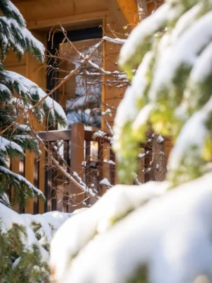 luxury chalet French Alps