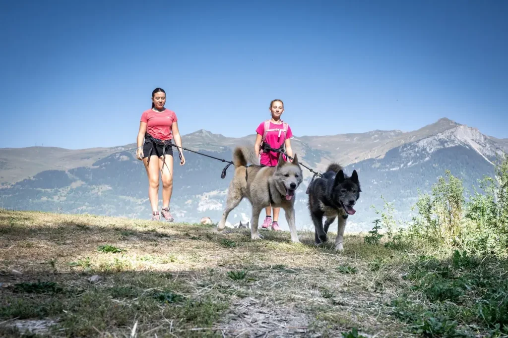 La Plagne in summer - cani hiking