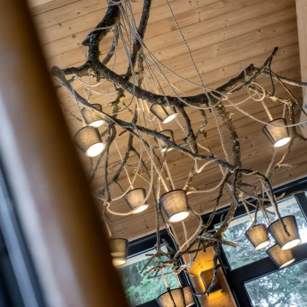 Salons et espaces de vie 7 location chalet luxe