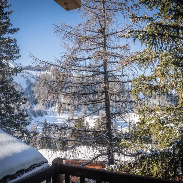 Localisation chalet du Bois melay 9 La Plagne