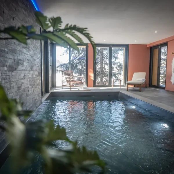 location chalet luxe piscine