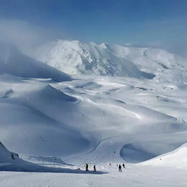 Ski in La Plagne 8 location chalet paradiski