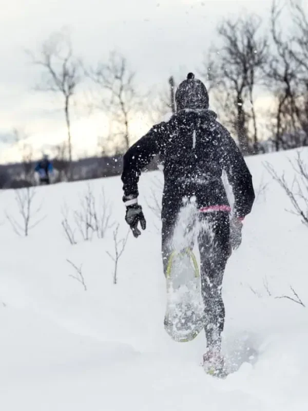 Chalet Paradiski au pied des pistes 28 raquettes a neige