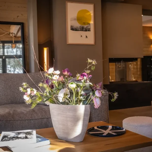 Best of La Plagne Resort 14 rent luxury chalet